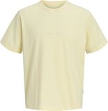 JACK&JONES JORNORREBRO EMB TEE SS CN NOOS JNR Jongens T-shirt Pastel Yellow Maat 164