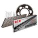 Kettingset DID Kettingset Alu 520ZVM-X / 100 Eindeloos Zwart voor Ducati SS 750 cc Bj. 1999-2002