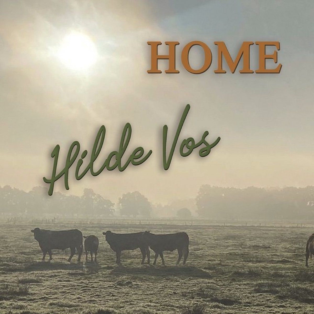 Coast2Coast Hilde Vos - Home (CD)