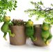 Merkloos Set van 3 hangende mini-kikkerdecoraties voor vijvers