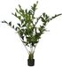 Mica Decorations Vissenstaart Palm Kunstplant in Pot - H150 x Ø100 cm - Groen