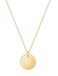 good.designs Halsketting 18 K verguld met lettermunt N
