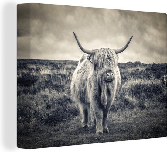 OneMillionCanvasses Schotse Hooglander Canvas Schilderij - 160x120 cm - Sepia - Dieren - Rechthoek