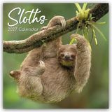 Sloths Browntrout Verlags GmbH Sloths - Faultiere 2027 - 16-Monatskalender