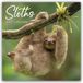 Sloths Browntrout Verlags GmbH Sloths - Faultiere 2027 - 16-Monatskalender
