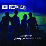 Universal Music Libertines Anthems For Doomed Youth CD