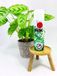 Ferrarium.nl Bol Spring bladglans 250ml