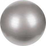 Gym Mets Gym Ball Gris 65 Cm 1 Pcs