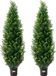 2 pièces de thuya artificiel Cedertopiaire, 150 cm de haut, plante artificielle, résistant aux UV, adapté à un usage intérieur et extérieur