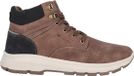 WHISTLER Aoshilo Wandelschoenen Heren Bruin