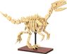CaDA Creative Series Dinosaur Fossils Velociraptor 256 Stuks Bouwset