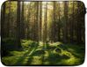 SleevesAndCases Laptophoes 15.6 inch - Bomen - Bos - Mos - Planten - Zon - Natuur - Laptop sleeve