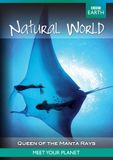 BBC Earth - Natural World Collection Queen of the Manta Rays DVD