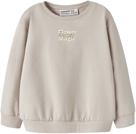 NAME IT Meisjes Sweater NMFDARTINE LS NREG SWEAT UNB Katoen Elastaan Chateau Gray Maat 92