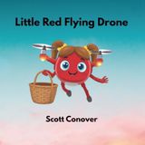 Little Red Flying Drone