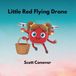 Little Red Flying Drone