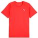 Puma-shirt Run Velocity Tee (POLY) 526600