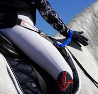 Correct Connect Unisit Sit strap - uni - Paard