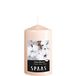 SPAAS Geurende cilinderkaars 60/100 mm, ± 25 uur - Cotton Blossom