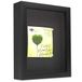 Lawrence Frames Shadow Box Frame, Polystyreen, Zwart, 8x10