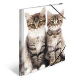 HERMA 7138 verzamelmap DIN A4 dieren katten, 3-delige set, stevige kunststof, opbergmap met bedrukte binnenkleppen en elastiek, documentenmap voor kinderen, jongens en meisjes
