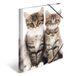 HERMA 7138 verzamelmap DIN A4 dieren katten, 3-delige set, stevige kunststof, opbergmap met bedrukte binnenkleppen en elastiek, documentenmap voor kinderen, jongens en meisjes