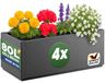 Jardinières set de 4 - 80 L - Plastique - Anthracite - 80 x 36 x 35 cm - Pour extérieur