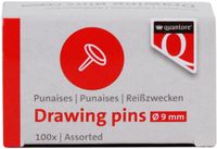 Quantore Punaises 100 stuks assorti