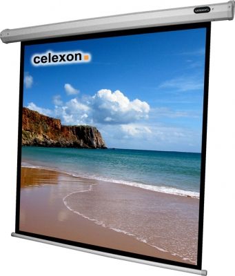 Celexon 1090065 Projectiescherm - 180 x 180 cm - 1:1