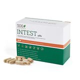 500Cosmetics Intest Capsules naturelles pour la prévention et la prophylaxie des hémorroïdes - Améliore et combat la constipation - Pour hommes et femmes.