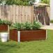 Maison Exclusive - Jardinière marron, 120x80 cm, pin massif