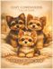 Cozy Companions Adult Coloring Book