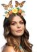 Boland Diadeem Vlinder Multi