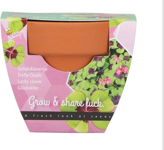 Buzzy Bol Grow gift "lucky clover" - 30 stuks