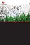 Biogéochimie Editions Notre Savoir Biogéochimie du carbone, de l'azote et du phosphore dans le bassin de la Yamuna