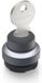 RAFI 1.30.275.222/0000 RAFIX 22 FS+ interrupteur à clé 1 x 90 ° 1 pièce(s)