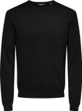 ONLY & SONS ONSWYLER LIFE REG 14 LS CREW KNIT NOOS Heren Trui - Maat S
