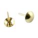 Stoker plaque peinte 10 mm (1000)