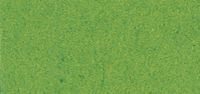 81002422 Papier fotokarton, 50x70cm, 300g/m2, grasgroen