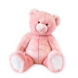 Histoire d'Ours Pluche dier uit de grote collectie