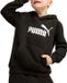 Puma ESS No. 1 Logo Fleece Hoodie Junior - Maat 110