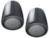 JBL C60PS/T hangende hangersubwoofer met passieve crossover 5.25" driver Zwart