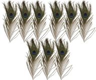 Merkloos Nepveren/sierveren - Pauwen veren - 9x stuks - gekleurd - 25 cm