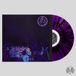 Levitation Fuzz - Levitation Sessions (LP)