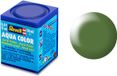 Revell Hobbyverf Acrylverf - Aqua #360 Fern Green - Satin - RAL6025 - Acryl - Verf potje - 18 ml