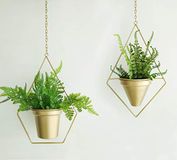 RISEON Set van 2 Boho messing gouden geometrische metalen plantenhangers