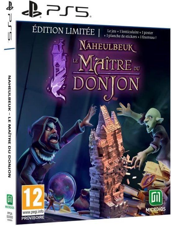 Microids Naheulbeuk: Le Maître du Donjon Limited Edition Strategie game voor PlayStation 5
