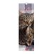 Legami Wandkalender 2027, katten, kleine wandkalender, 12 maanden en jaarplanner, in 6 talen, ruimte voor notities, sterrenbeelden, internationale feestdagen, 16 x 49 cm