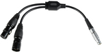 Nanlite CB-DMX-ACP-1/2 Cable Splitter - Black