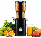 StarTech Slow Juicer - Koudpers sapcentrifuge - 200 W - XL-vulopening van 13 cm - Terugloopsysteem - Sapreservoir van 800 ml